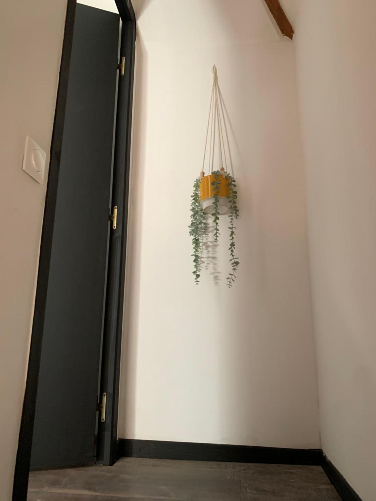 Les Chambres Perchees De Boece 외부 사진